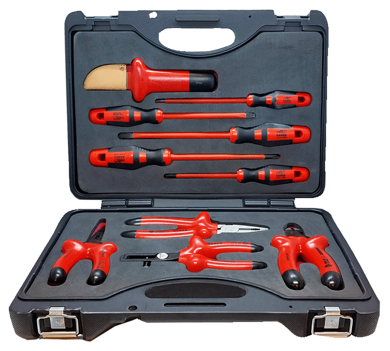 Rel��s de Protecci��n