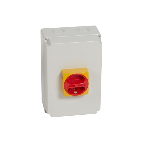 Selector manija roja 2 posiciones fijas 4P 40A