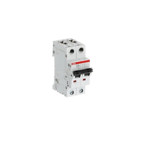 Interruptor termomagnético 2x100A 10/6kA 230/400V tipo C DIN